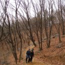 평화약수터 이미지