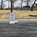 솔리,자운 이미지