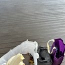 백야드 | 마! 이곳이 체릉이다!(백야드후기)