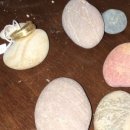 SEA서비스 이미지