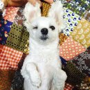 금비약국 이미지