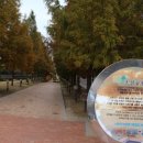 진주실내체육관 수영장 이미지