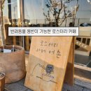 어항단지로 | [로스터리카페 어촌] 직접 로스팅한 핸드드립과 반려동물 동반 가능한 여수 카페 후기