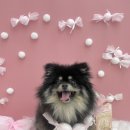 멍미살롱 이미지