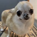 드림인삼송의원 이미지