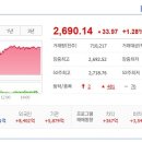 (주)대영약품