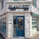 광주강아지분양 블랑펫 이미지