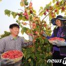 김광연 농장 이미지