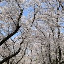 장군마을2길 네이버블로그