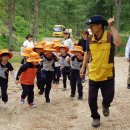 두미르어린이집 이미지