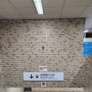 [나라 여행] 일본 오사카 근교 나라 사슴공원 가는법, 입장료, 시간 후기