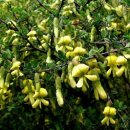 대구세차장 이미지