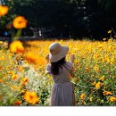 여행마루 - 연수구 경원대로 184 | 여행마루