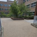 창서초등학교 이미지