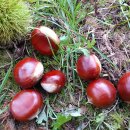 양희농장 이미지