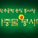 월산초등학교 체육관 이미지