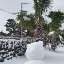 키즈키득펜션 이미지