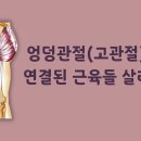 [ 마름모코어 시즌 2-91 ] 코어부터 엉덩관절 사용해 골반 균형 맞추며 중력선에 바로 서기 이미지