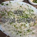윤가네산오징어 | 덕천 오징어회 추천 윤가네 산오징어 후기