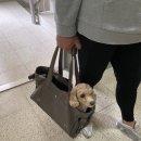 (주)골든필드 이미지