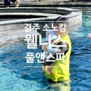스파앤 | 경주 소노캄 웰니스 풀앤스파 후기 4개월 아기와 수영장 추천