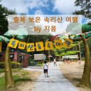솔향공원 소나무전시관 | 파크/스카이 트레일/솔향 공원/식물원/소나무 전시관/말티재 전망대, 상세 후기, 가족 여행, 아이와 가...