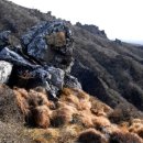 영실기암과 오백나한 이미지