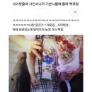 다행다복