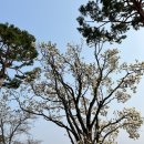 시립박물관 노리숲길 | 속초 아이와 가볼만한곳, 속초시립박물관 강추!