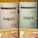 EM(이엠) 이미지