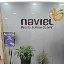 나비엘갤러리 이미지