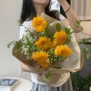 해바라기-청춘(1) 이미지