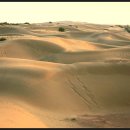 다시 인도로~~(XIII): 제살메르 --- 사막의 낭만, 사파리의 허와 실 이미지