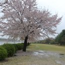 조정경기장 화장실(보트동) 이미지