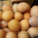 시골순두부 이미지