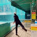 윤미농장 | 인천 가족여행 1박2일 월미도, 영종도, 차이나타운 먹거리 즐길거리 가득!