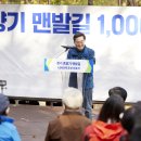 숲길발길 이미지