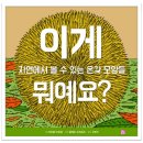 [머스트비 신간] 이게 뭐예요? 이미지