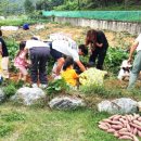 삼가농촌체험관 이미지