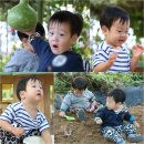 김성수 농장 이미지