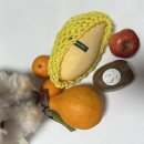 만월청과 이미지