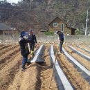 종락농장 이미지