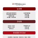 스타1 의원 이미지