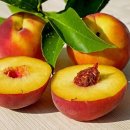 레몬마켓(Lemon Market)과 피치마켓(Peach Market)에 대해 알아보자. 이미지