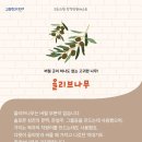 바비눈썹 네이버블로그