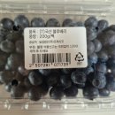 프레시코 | [이마트 추천템] 알도 실하고 싱싱한 여름 제철 과일, '프레시코 국산 블루베리 200g' 솔직 후기 🍇