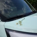 용인프로방스펜션2 이미지