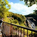 추월농장2 이미지