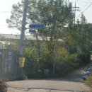 이여발묘 이미지