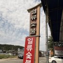 한우, 그 아찔한 매력 | 봉계 맛집 한우 제대로 먹은 일류숯불갈비 꽃갈비살 후기